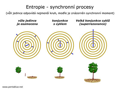 Entropie - synchronn procesy