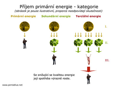 Příjem primární energie - kategorie