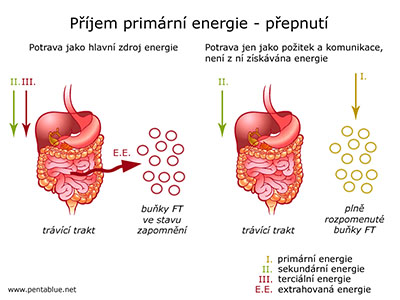 Pjem primrn energie - pepnut