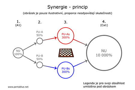 Synergie - princip